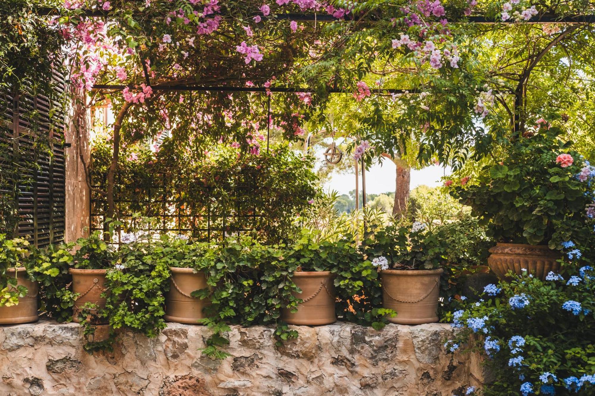الجايدا Oliver Moragues Grandhouse & Vineyard المظهر الخارجي الصورة